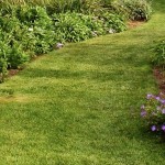 garden design bromley