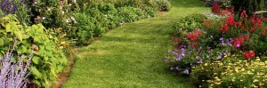 garden design bromley