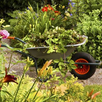 Garden Clearance in Bromley — Garden Care Services