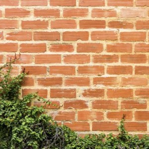 Fencing & Wall in Bromley