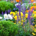 gardener Orpingtopn