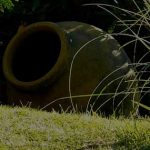 gardendesign